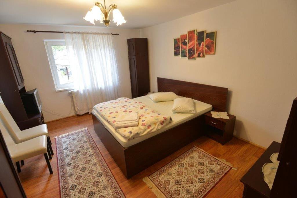 Casa Georgeta Guest House บราน ภายนอก รูปภาพ