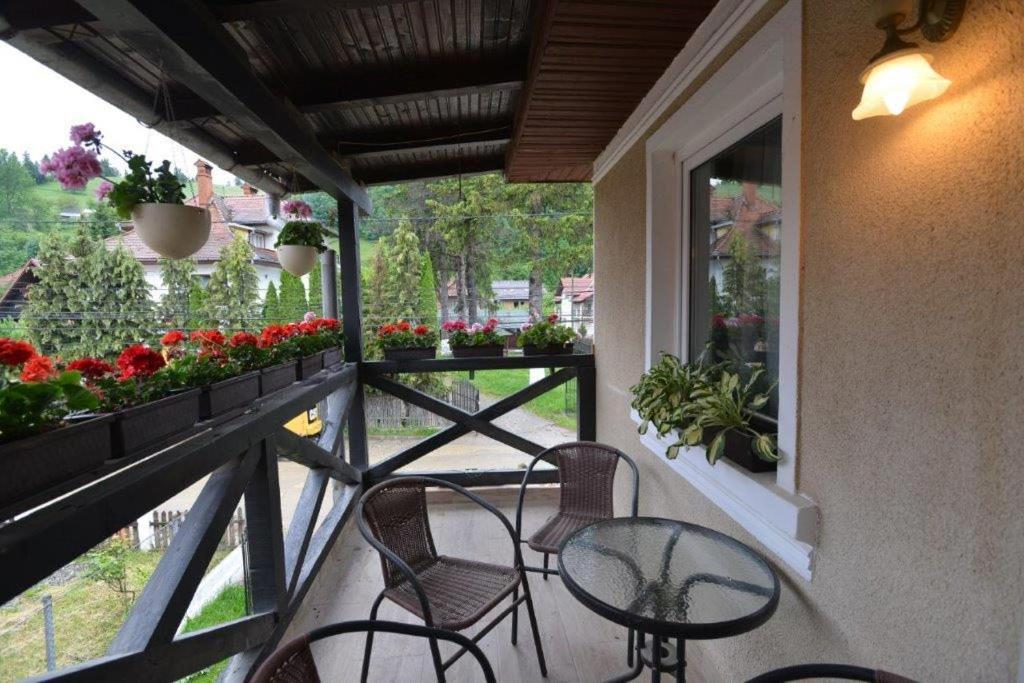 Casa Georgeta Guest House บราน ภายนอก รูปภาพ