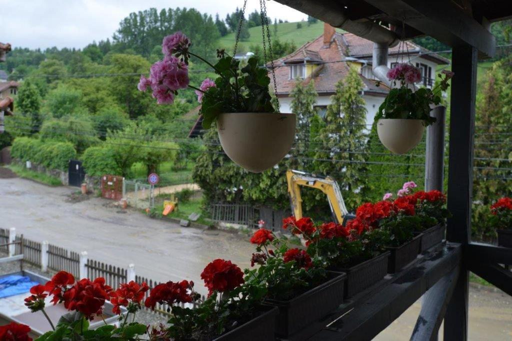 Casa Georgeta Guest House บราน ภายนอก รูปภาพ