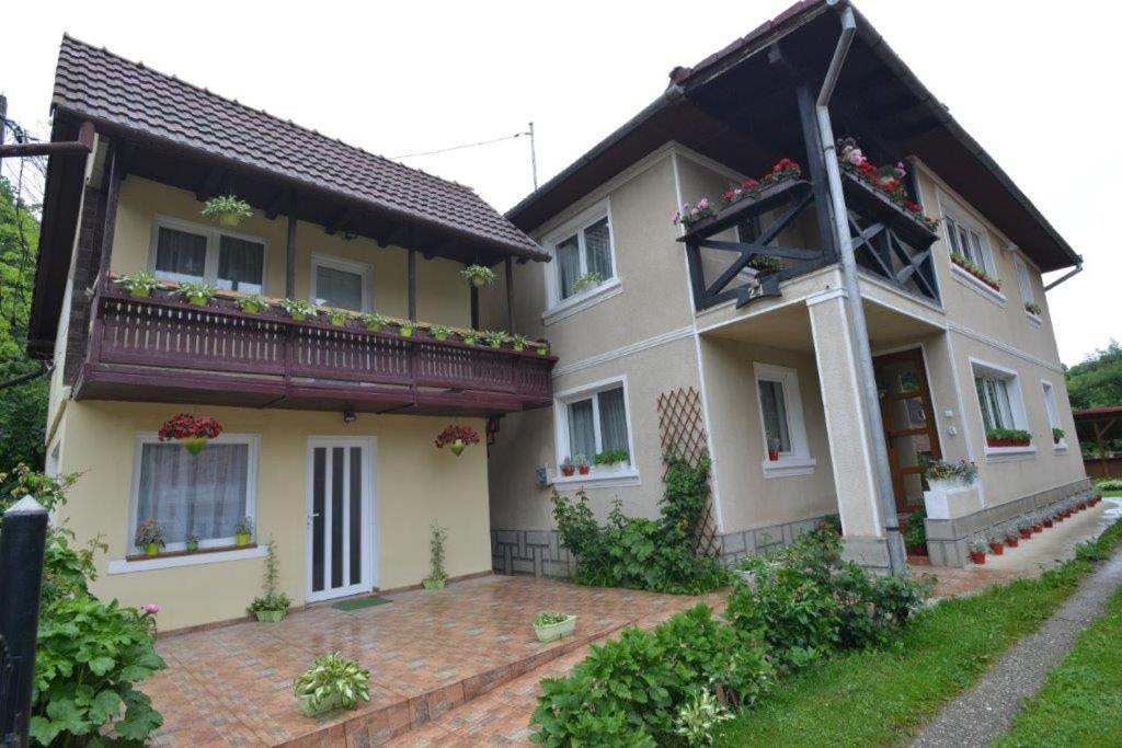 Casa Georgeta Guest House บราน ภายนอก รูปภาพ