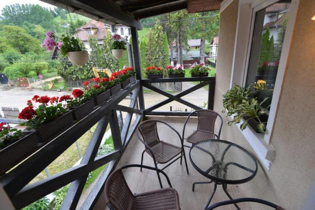 Casa Georgeta Guest House บราน ภายนอก รูปภาพ