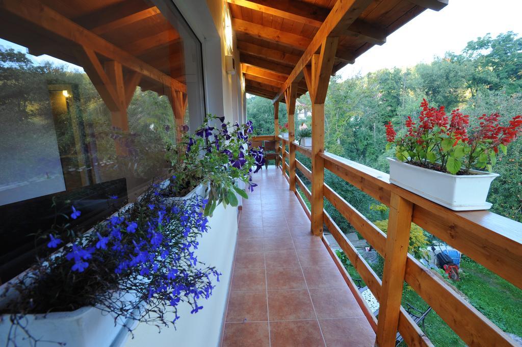 Casa Georgeta Guest House บราน ภายนอก รูปภาพ