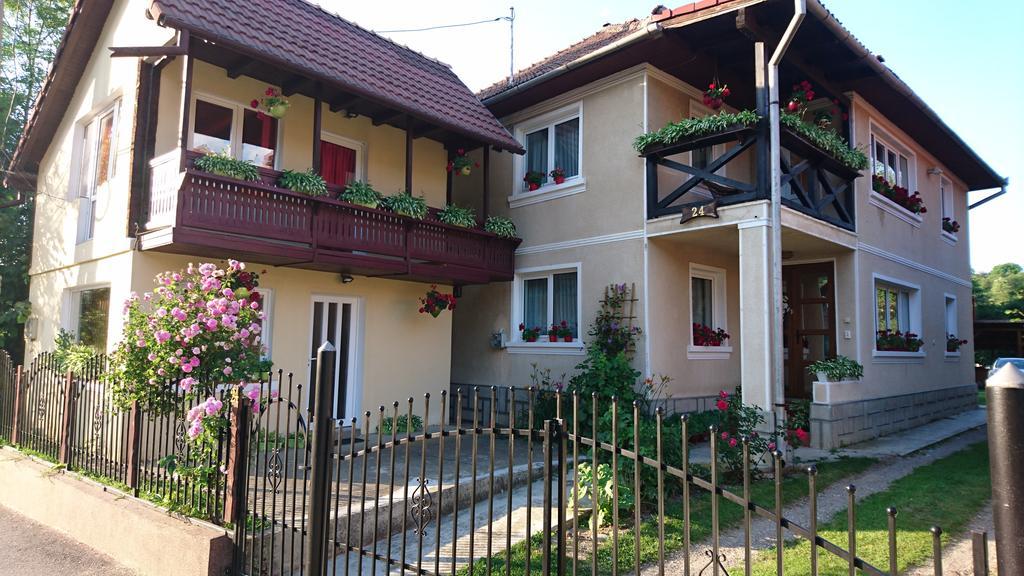 Casa Georgeta Guest House บราน ภายนอก รูปภาพ